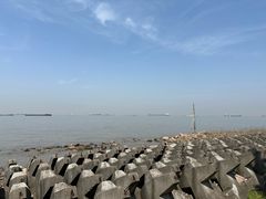 -上海滨江森林公园