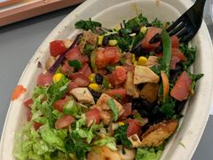 -油梨树 AVOCADO TREE(亮马桥店)