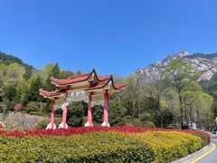 -黄山风景区