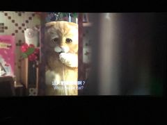 -万达影城(IMAX激光铁西万达广场店)