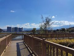 -洱海月湿地公园