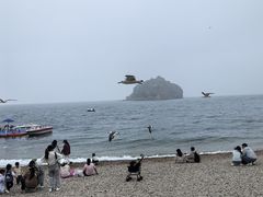 -棒棰岛宾馆景区