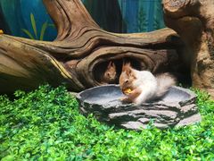 -华夏文旅海洋公园