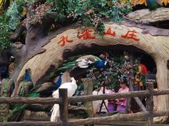 -西双版纳原始森林公园