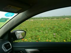 android_upload_pic-太平河公园