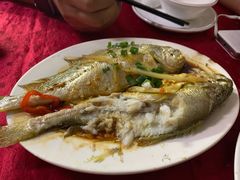 -蛇口康乐快餐鱼仔档(翠苑小区店)