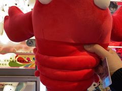 -PAWTOY爪e玩偶店(天兴罗斯福店)