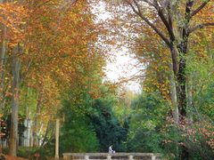 -河南省黄河迎宾馆