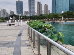 -秋水广场