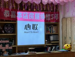 -心联形象设计·流星染