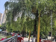 -听香·678茶铺(猛追湾店)