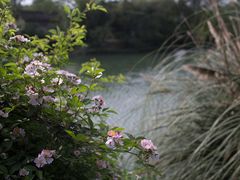 -贵阳市花溪国家城市湿地公园