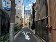 -秋叶原电器街