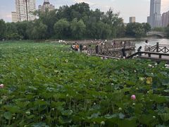 -迎泽公园