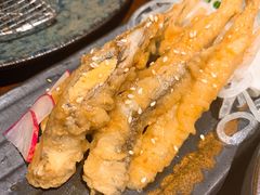 -山杏yama-katsu·吉列炸物