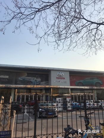 遥记得院子里曾经收留了几只野狗