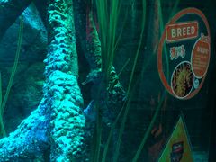 -沈阳海洋探索中心