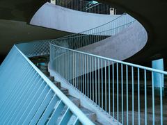 -成都南湖公园