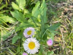 -杭州城北体育公园