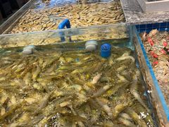 -一方渔歌蒸汽海鲜自助(文化路万达广场店)