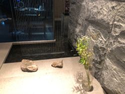 -美壹生诊所皮肤管理中心·海菲秀&Legacy美白舱
