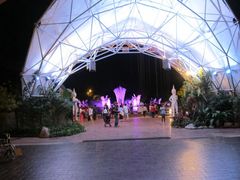 -清迈夜间动物园