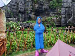 -梭布垭石林景区