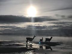 -乌尤尼盐沼