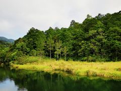 -海南热带雨林国家公园吊罗山景区