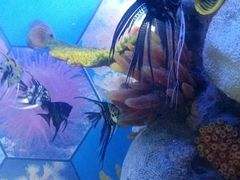 -福州罗源湾海洋世界旅游区