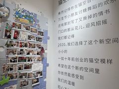 -猫的天空之城概念书店(大学路店)