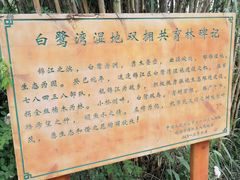 -白鹭湾湿地公园