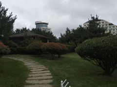 -日照灯塔风景区