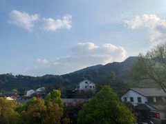 -龙井村
