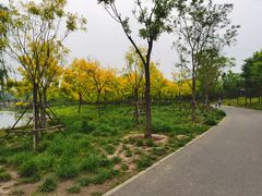 -东郊湿地公园