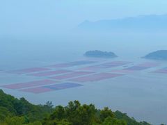 -花竹村