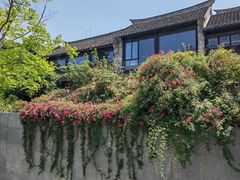 -回龙窝历史文化街区