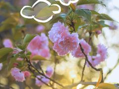 -洋湖国家湿地公园