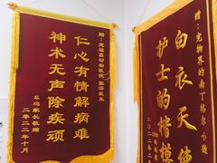 -宠福鑫动物医院(城北分院)