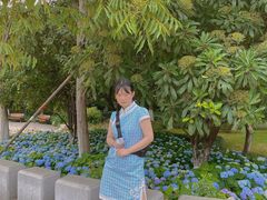 -大关公园