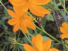 -成都市活水公园