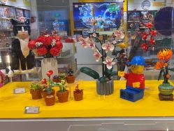 -乐高授权专卖店(中关村领展店)