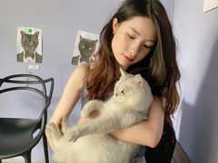 -喵屿·大理花园猫咖