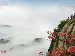 -鸿运楼·舌尖上的徽菜