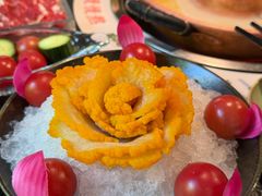 -菌自由丨野生菌火锅特色庭院餐厅(丽江古城店)