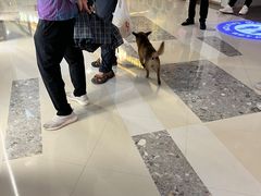 -万达广场(松江店)