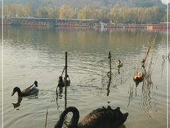 -南翠屏公园