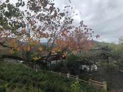 -塔川景区