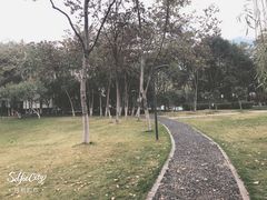 -后襄河公园
