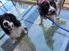 -十渡东湖港风景区